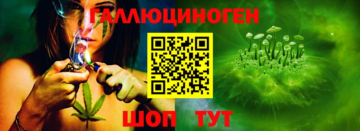 Галлюциногенные грибы прущие грибы Калининград